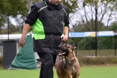 Examens DWG Palmerswaard