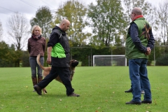 Examens DWG Palmerswaard