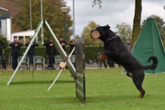 Examens DWG Palmerswaard