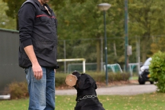 Examens DWG Palmerswaard