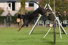 Examens DWG Palmerswaard