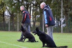 Examens DWG Palmerswaard