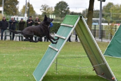 Examens DWG Palmerswaard