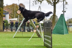 Examens DWG Palmerswaard
