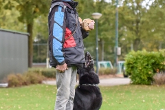 Examens DWG Palmerswaard