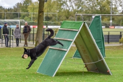 Examens DWG Palmerswaard