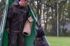 Examens DWG Palmerswaard