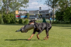 Hamlet