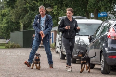 De puppen onderweg naar de les