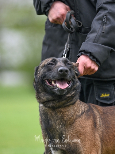 Examens 16 april 2023